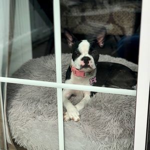 Meet your Posher, Carolyn